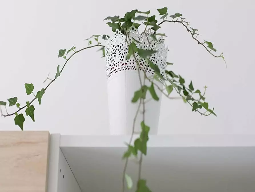 Immagine 34 di Camera in affitto  in Viale Romagna5 a Milano