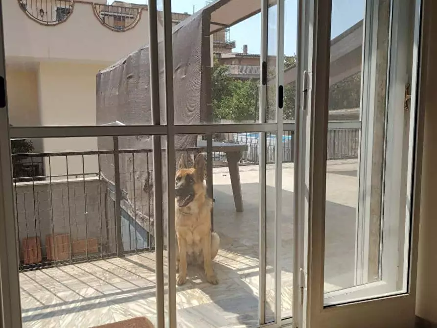 Immagine 9 di Camera in affitto  in Via Ermanno Rivetti4 a Roma