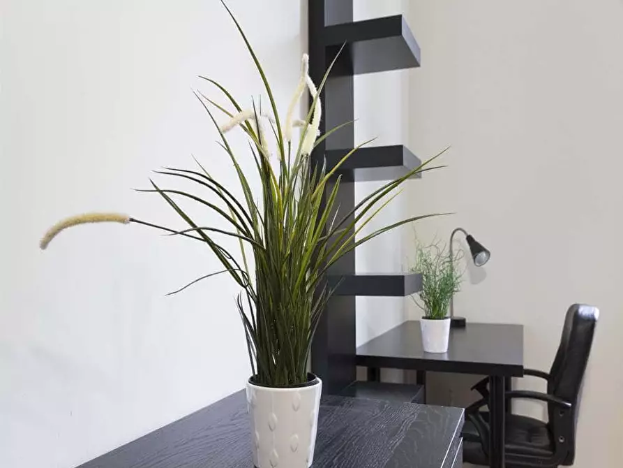 Immagine 5 di Camera in affitto  in Viale Abruzzi11 a Milano