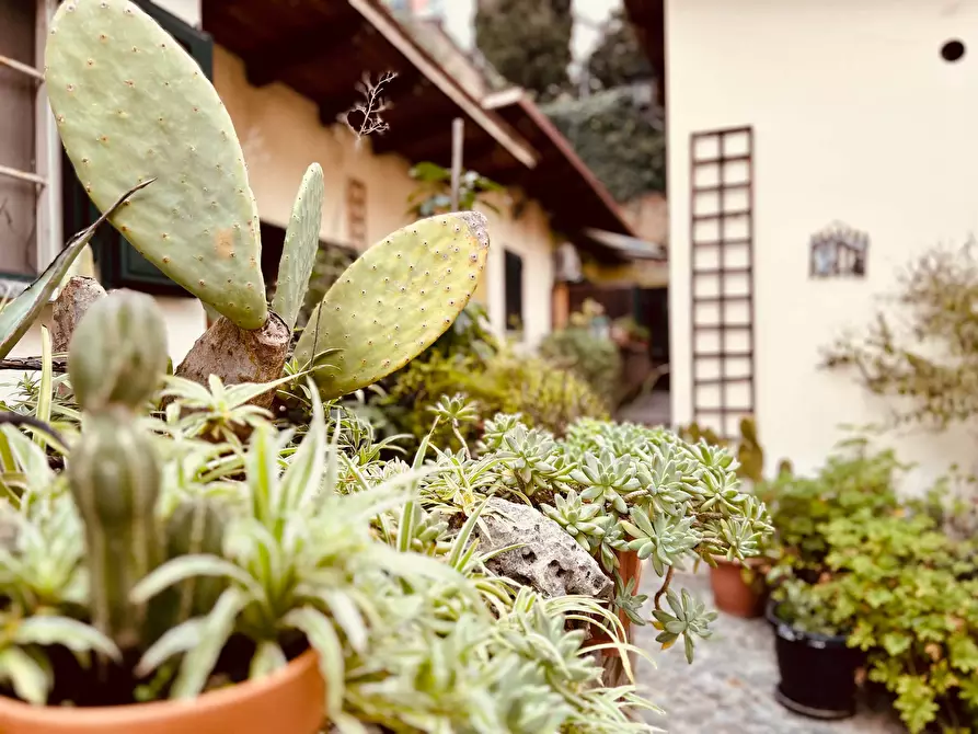 Immagine 28 di Appartamento in affitto  in Via Antonio Cesari39 a Roma