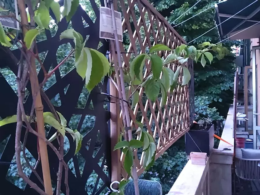 Immagine 12 di Camera in affitto  in Via Giuseppe Mezzofanti2 a Bologna