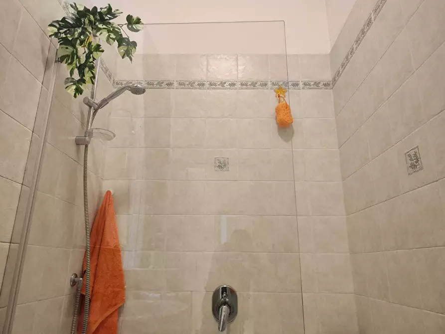 Immagine 17 di Camera in affitto  in Via dei Mille11 a Bologna