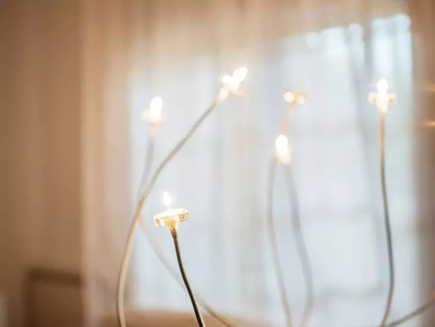 Immagine 21 di Appartamento in affitto  in Via P. Boccella11 a Camaiore