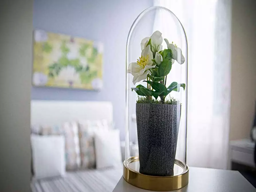 Immagine 4 di Camera in affitto  in Viale Nazario Sauro4 a Milano