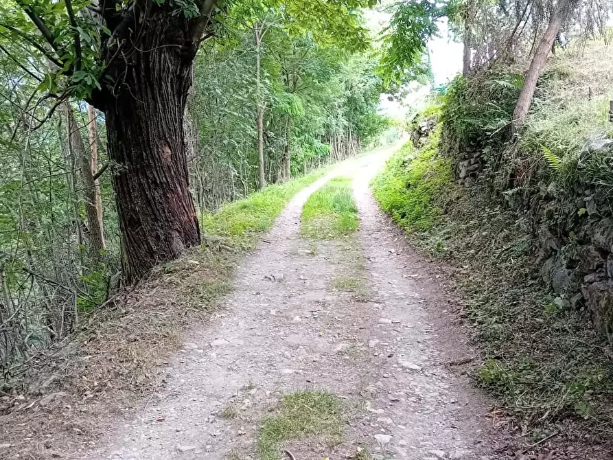Immagine 4 di Camera in affitto  in Via Riva31 a Albaredo Per San Marco