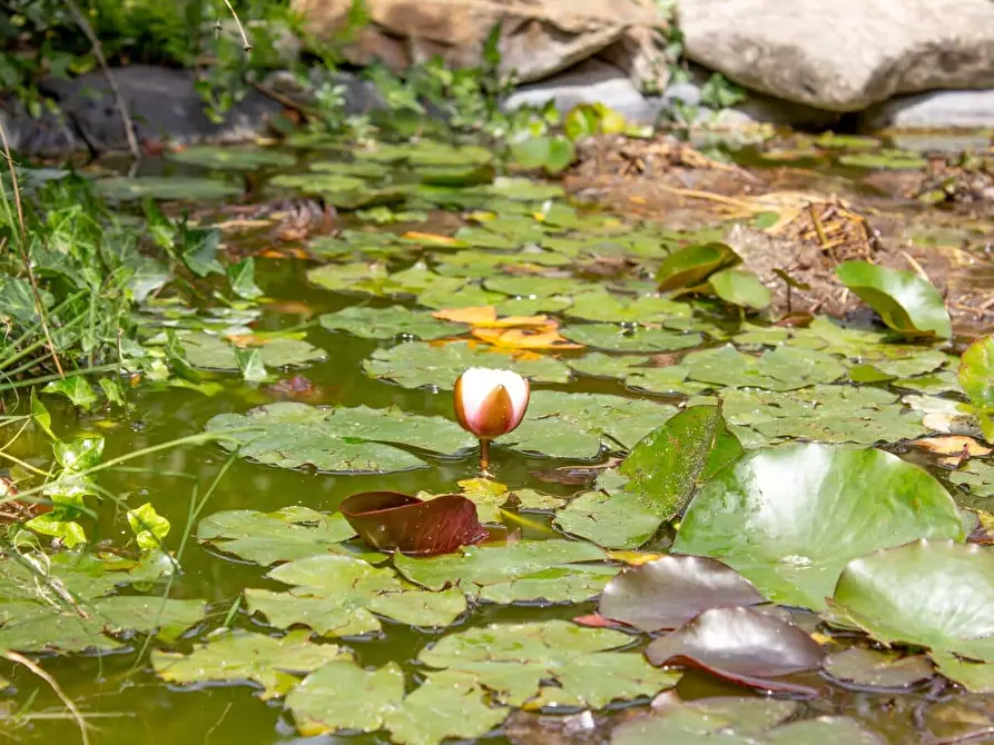 Immagine 26 di Appartamento in affitto  in Via Jacopo Melani7 a Roma