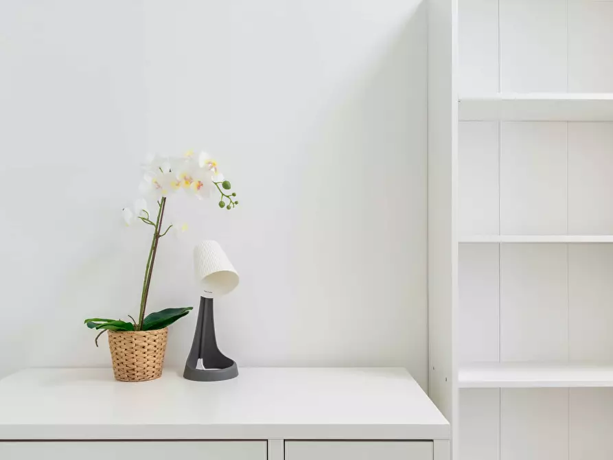 Immagine 4 di Camera in affitto  in Via Frinco15 a Torino