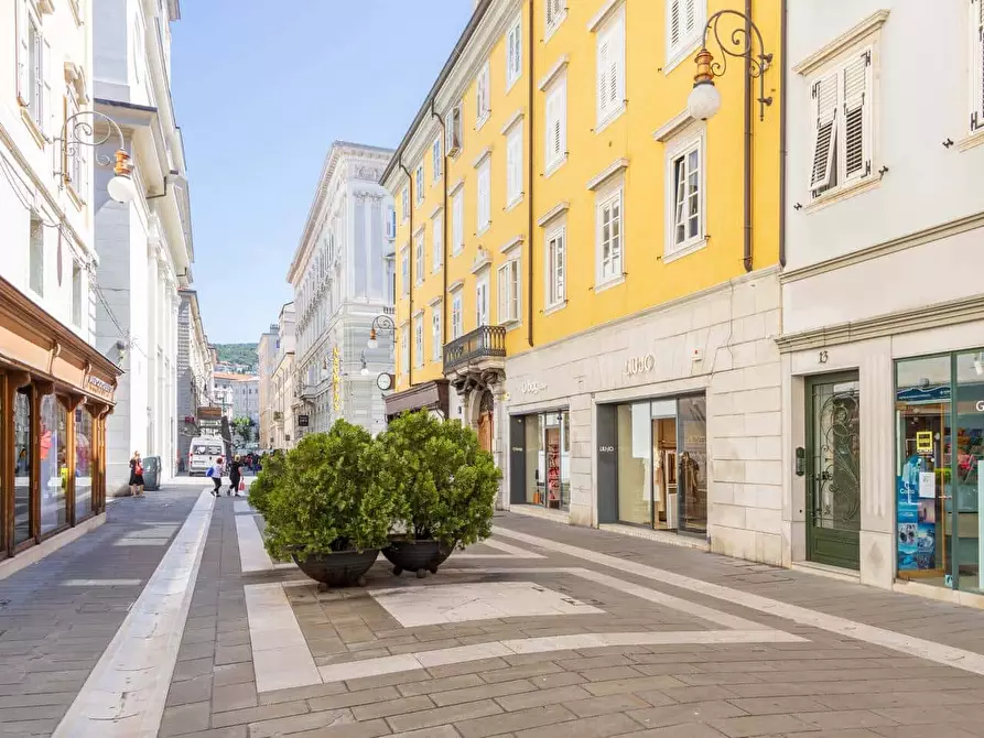 Immagine 12 di Appartamento in affitto  in Via San Lazzaro13 a Trieste