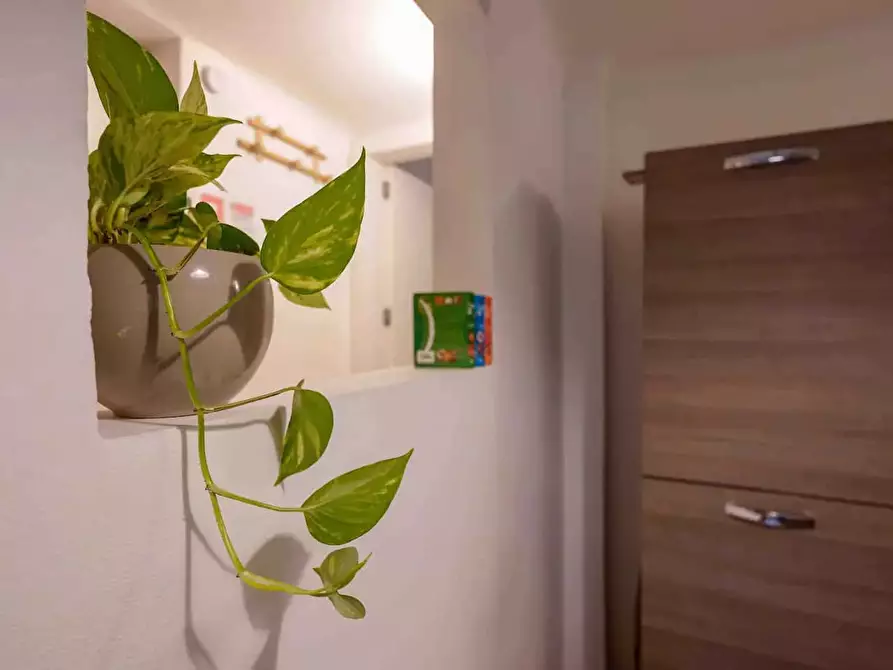 Immagine 8 di Appartamento in affitto  in Via del Rondone22 a Bologna