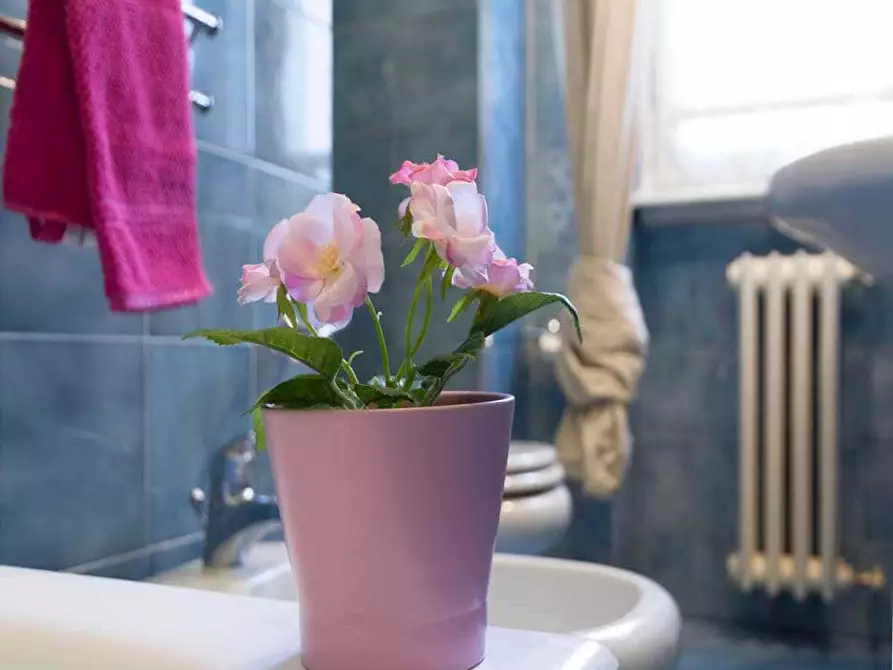 Immagine 18 di Camera in affitto  in Via Bergamo12 a Milano