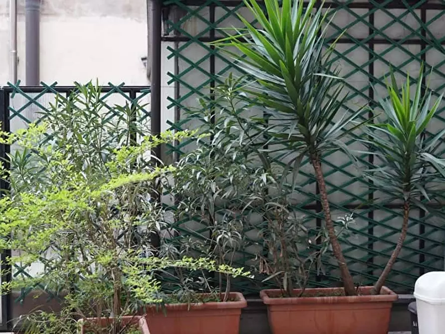 Immagine 19 di Appartamento in affitto  in Corso Venezia19 a Verona