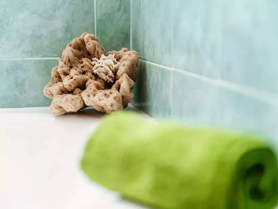 Immagine 42 di Appartamento in affitto  in Via Bellinzona a Como