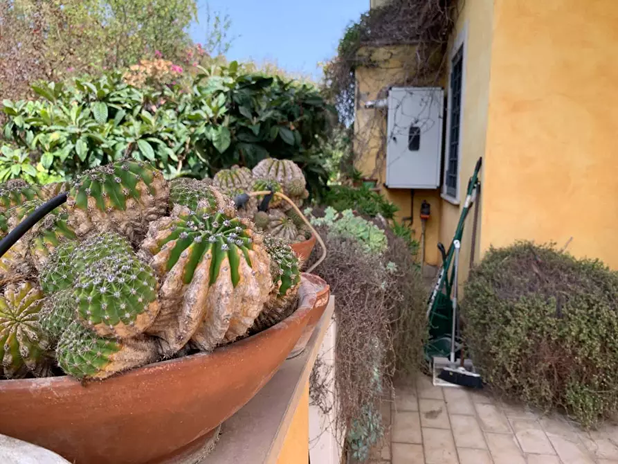 Immagine 23 di Appartamento in affitto  in Via Sisto Scaglia3 a Roma