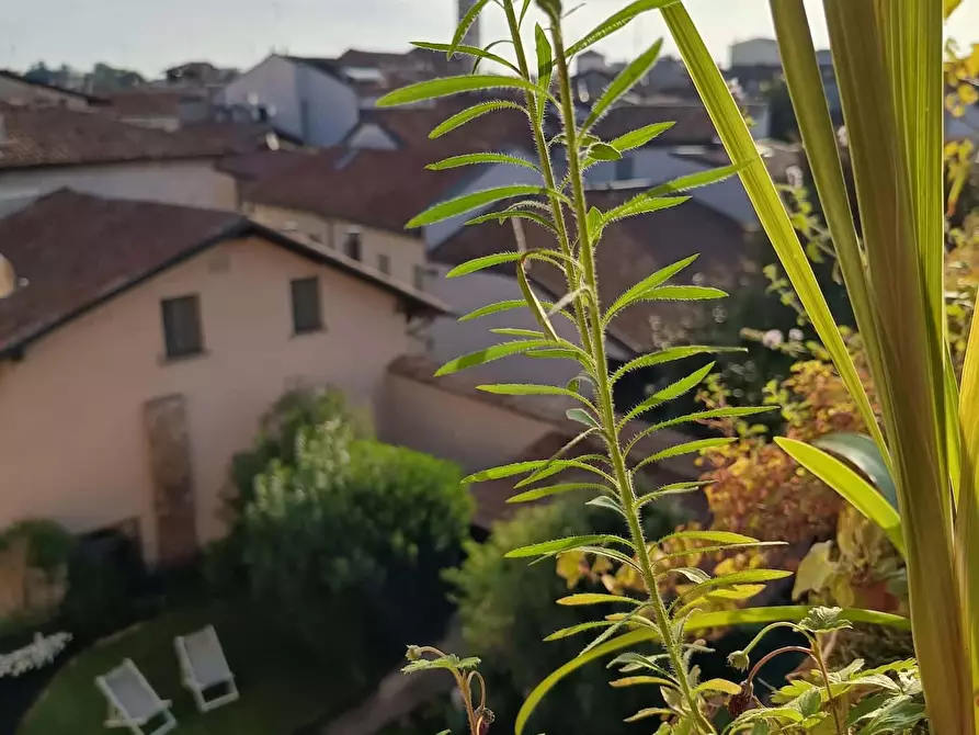 Immagine 20 di Appartamento in affitto  in Via Alboino4 a Pavia