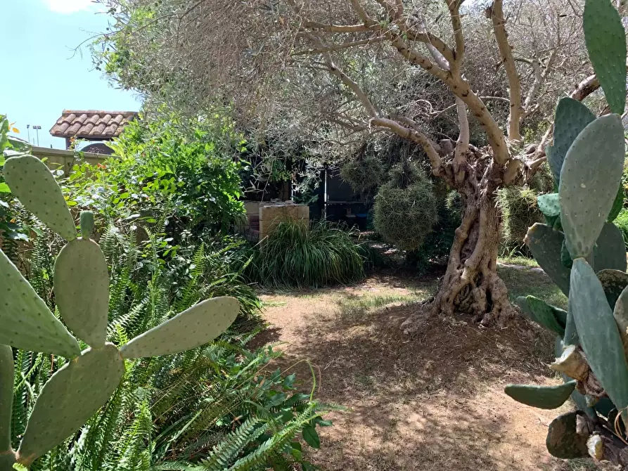 Immagine 25 di Appartamento in affitto  in Via Sisto Scaglia3 a Roma