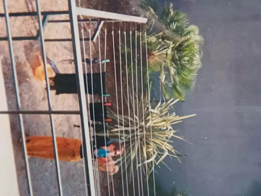 Immagine 41 di Appartamento in affitto  in Via Louis Pasteur118 a Bordighera
