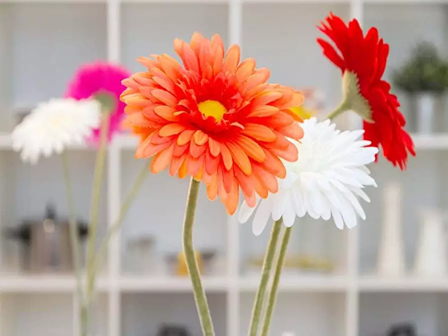 Immagine 17 di Camera in affitto  in Via Larga26 a Milano