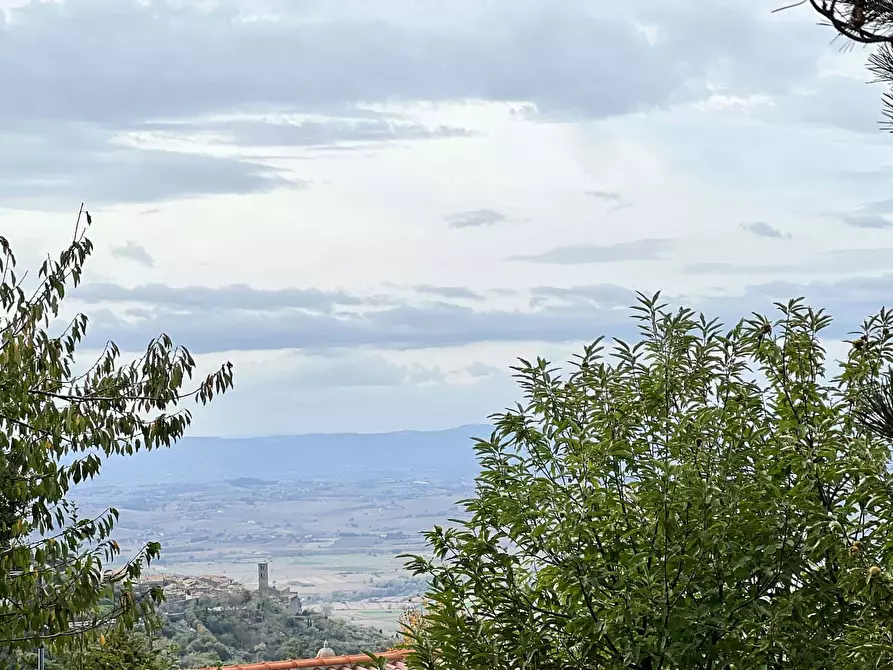 Immagine 8 di Appartamento in affitto  in Località Torreone95 a Cortona