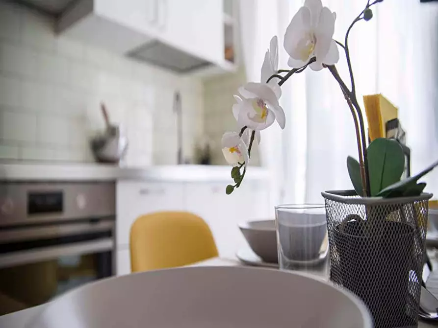 Immagine 18 di Camera in affitto  in Via Alberto Nota39 a Milano