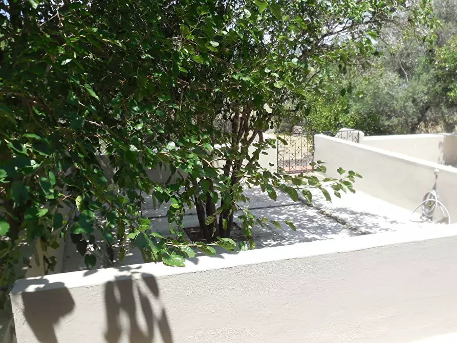 Immagine 2 di Appartamento in affitto  in via turrati9 a Soverato