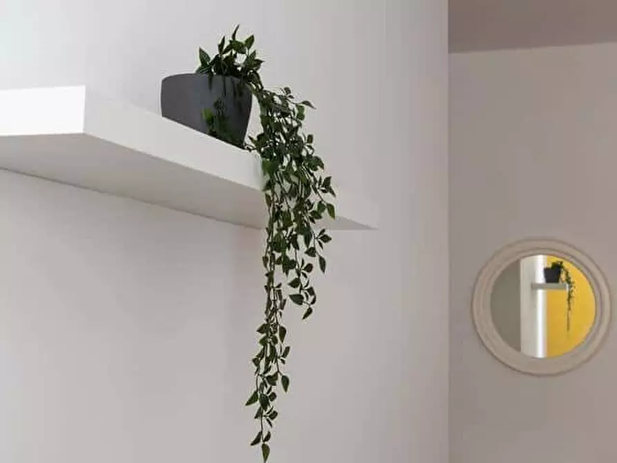 Immagine 5 di Appartamento in affitto  in Piazza della Borsa4 a Trieste