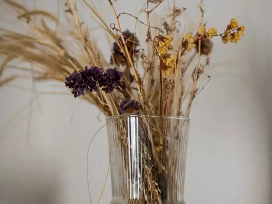 Immagine 10 di Appartamento in affitto  in Viale Bligny42 a Milano