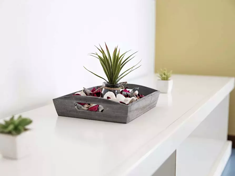 Immagine 30 di Appartamento in affitto  in Viale Casoli11 a Riccione