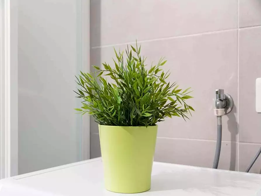 Immagine 22 di Camera in affitto  in Bastioni di Porta Volta13 a Milano