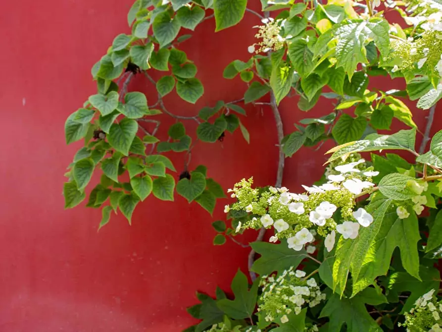 Immagine 21 di Appartamento in affitto  in Via Jacopo Melani7 a Roma