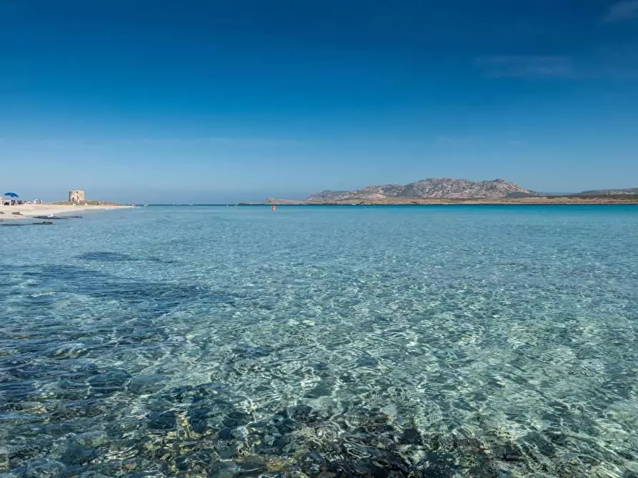 Immagine 35 di Appartamento in affitto  in Via dei Rosmarini8 a Banari
