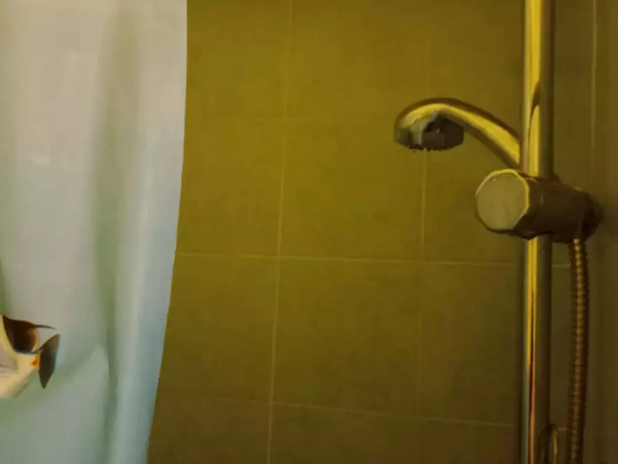 Immagine 16 di Camera in affitto  in Via Ernesto Ovidi20 a Roma