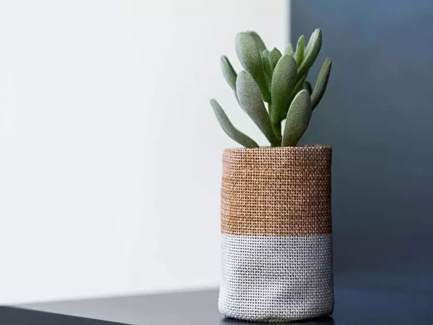 Immagine 5 di Camera in affitto  in Via Raffaello Bertieri1 a Milano