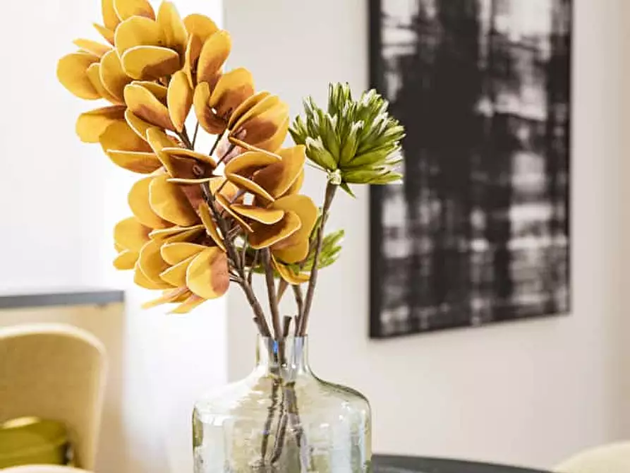 Immagine 12 di Camera in affitto  in Via Ormea164 a Torino