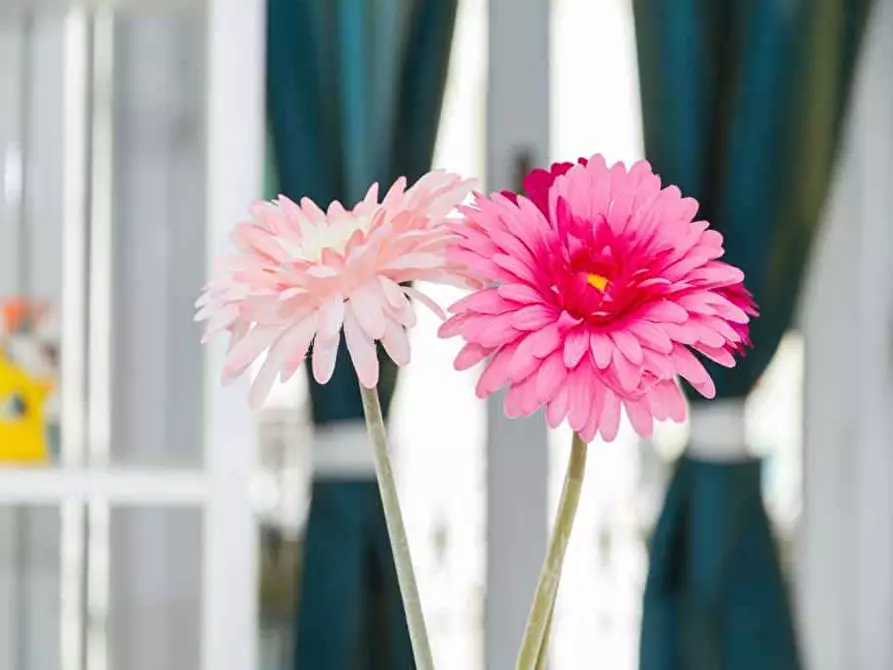 Immagine 14 di Camera in affitto  in Corso di Porta Romana132 a Milano