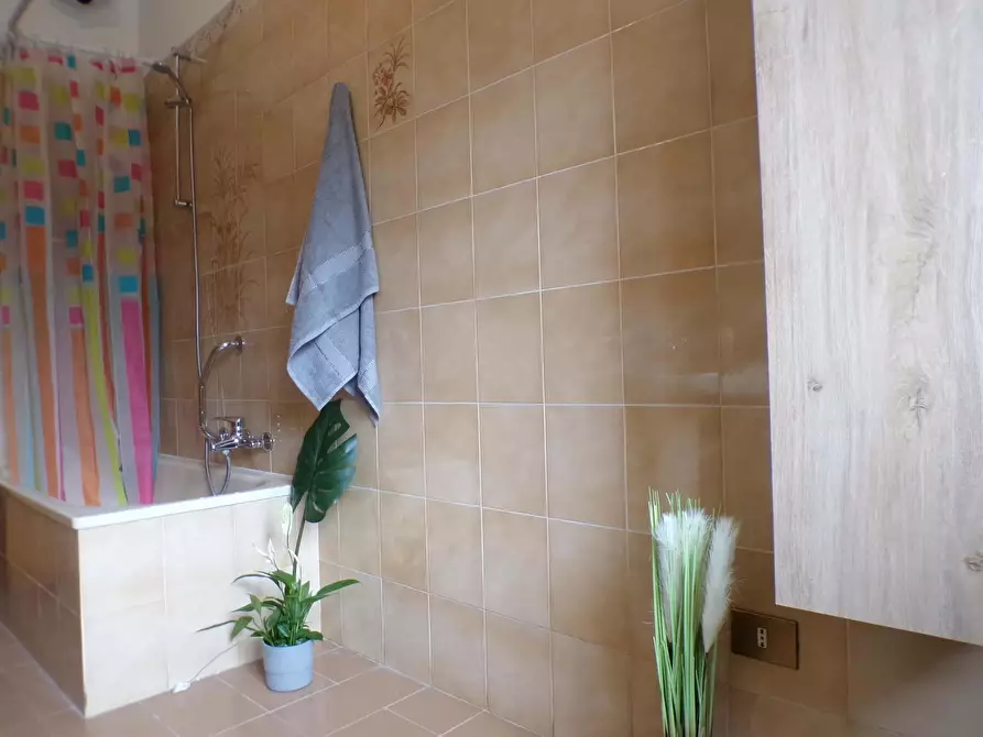 Immagine 25 di Camera in affitto  in Via Filippo Beroaldo1 a Bologna