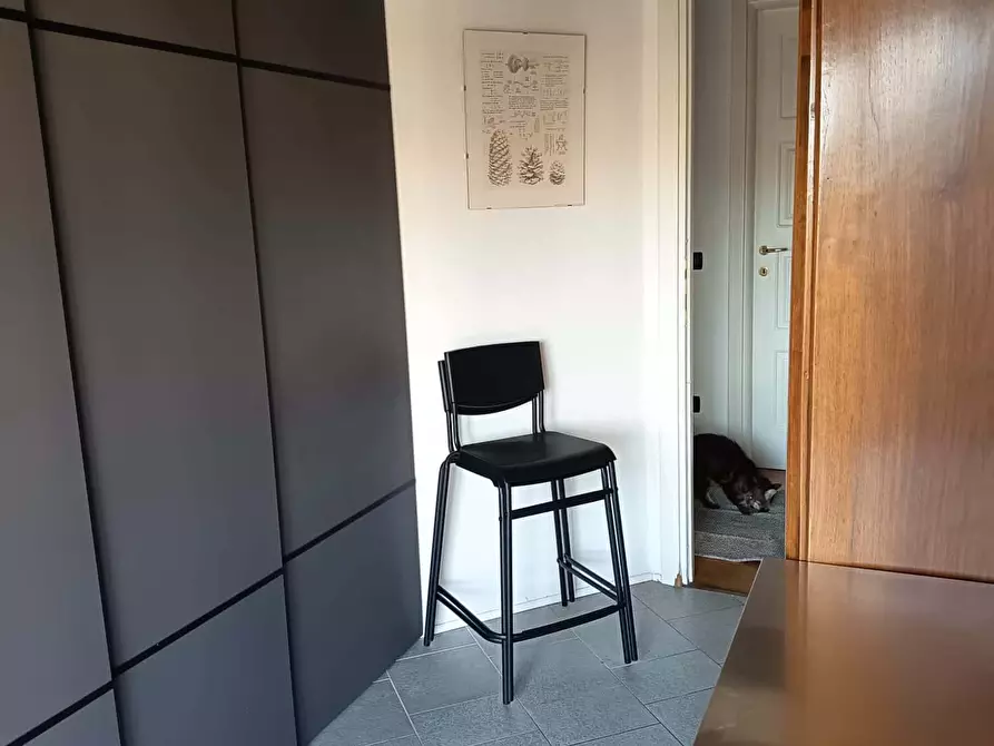 Immagine 29 di Appartamento in affitto  in Via Alboino4 a Pavia