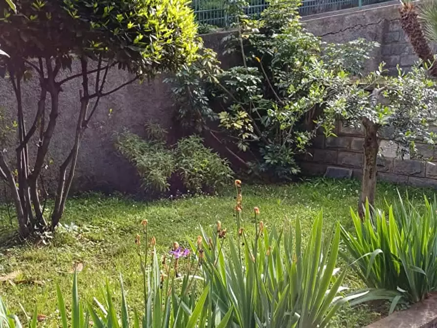 Immagine 45 di Appartamento in affitto  in Via Louis Pasteur118 a Bordighera