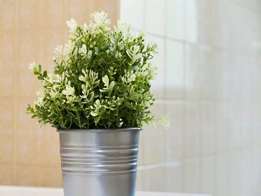 Immagine 23 di Camera in affitto  in Via Raffaello Bertieri1 a Milano