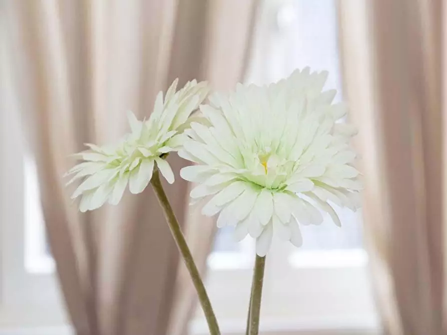 Immagine 34 di Camera in affitto  in Via Lepanto2 a Milano