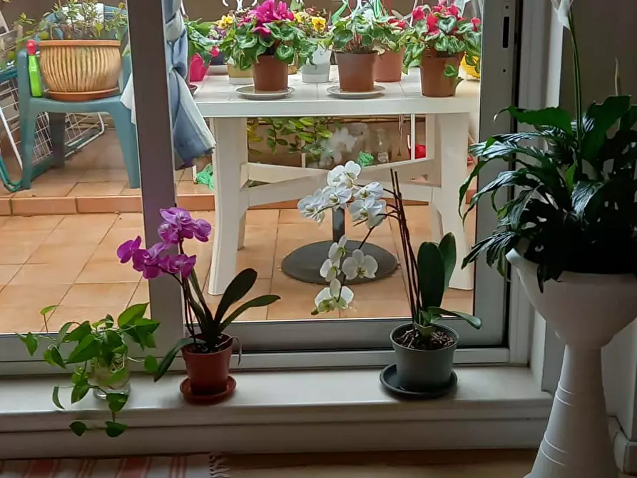 Immagine 11 di Appartamento in affitto  in Viale Bruno Buozzi11 a Pesaro