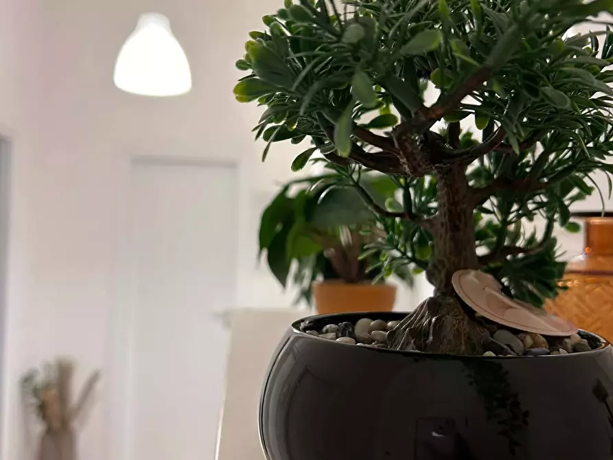 Immagine 9 di Camera in affitto  in Via Gian Battista Cipani14 a Brescia