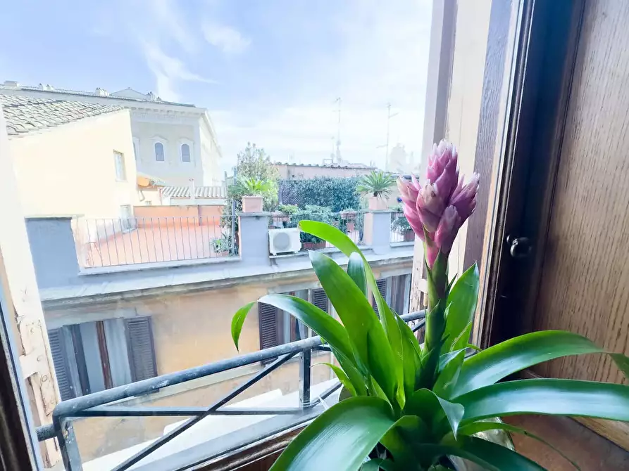 Immagine 17 di Appartamento in affitto  in Via Giulia171 a Roma