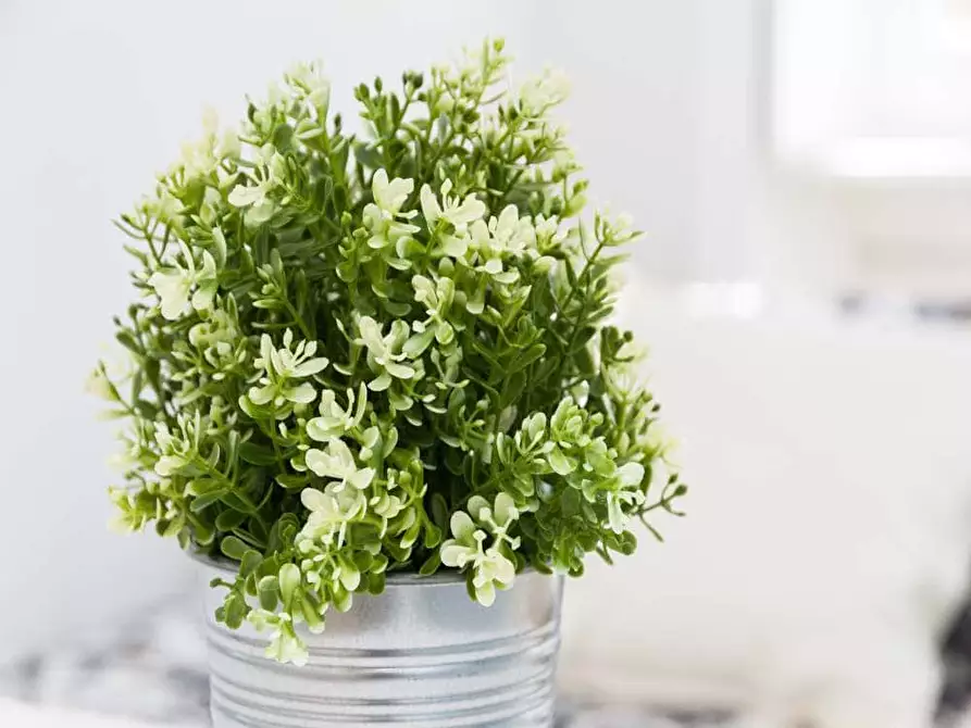 Immagine 2 di Camera in affitto  in Via Larga26 a Milano