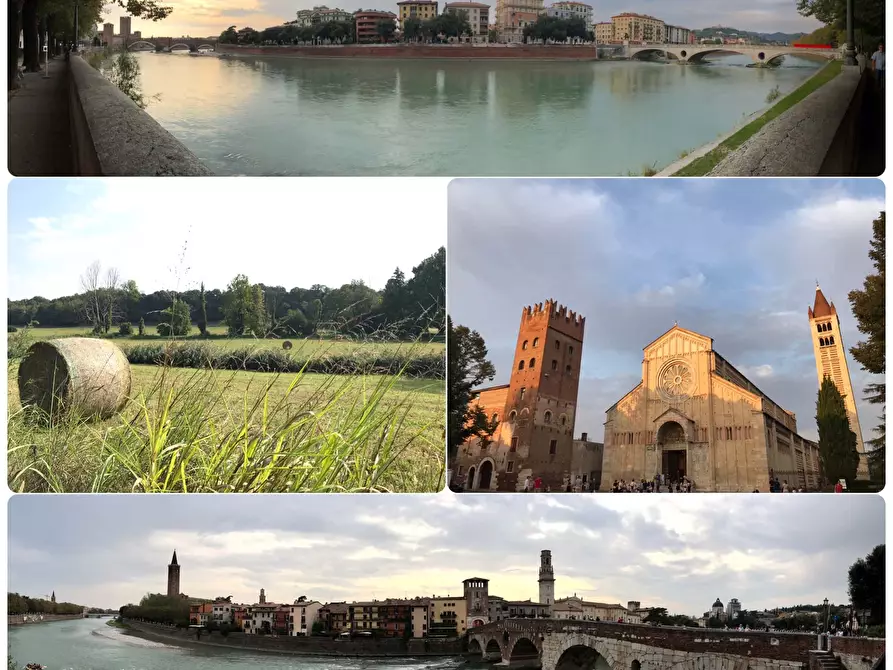 Immagine 24 di Appartamento in affitto  in Via Silvio Pellico20b a Verona