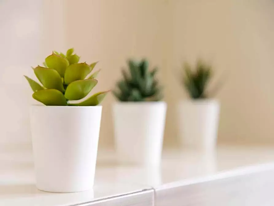 Immagine 25 di Camera in affitto  in VIA CAVEZZALI19 a Milano