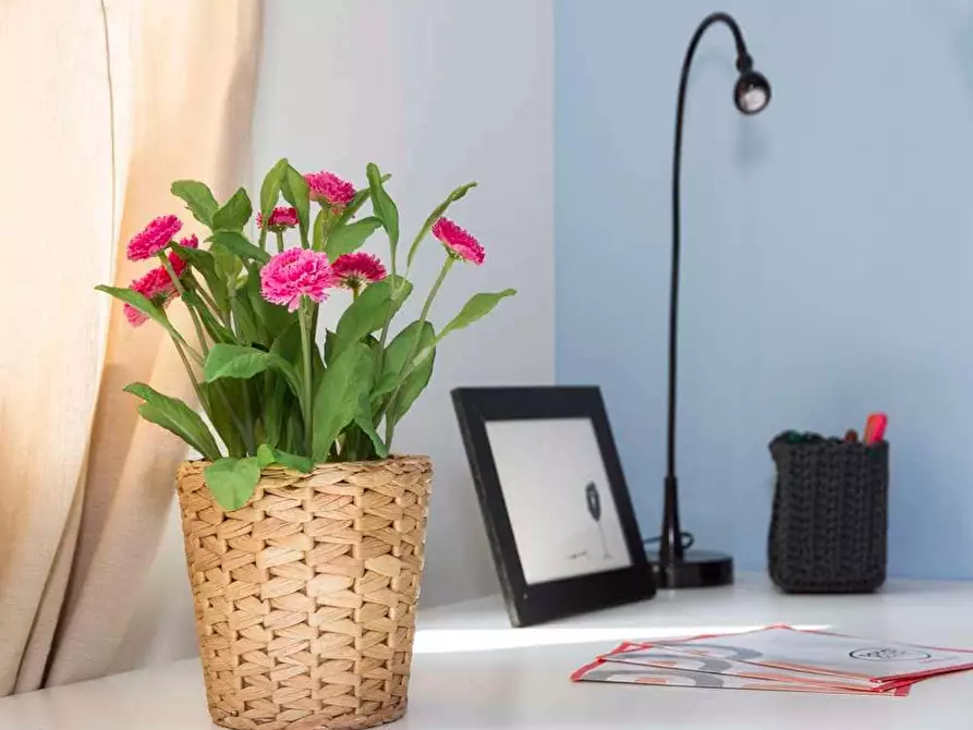 Immagine 2 di Camera in affitto  in Via Tarquinio Prisco3 a Milano