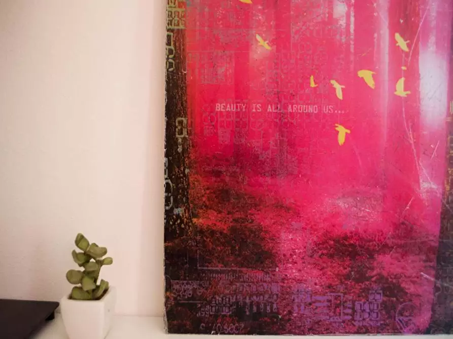 Immagine 7 di Camera in affitto  in Via Bassini19 a Milano