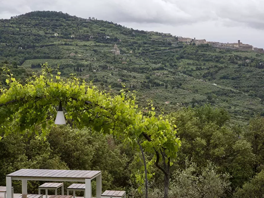 Immagine 12 di Appartamento in affitto  in Località Case Sparse a Cortona