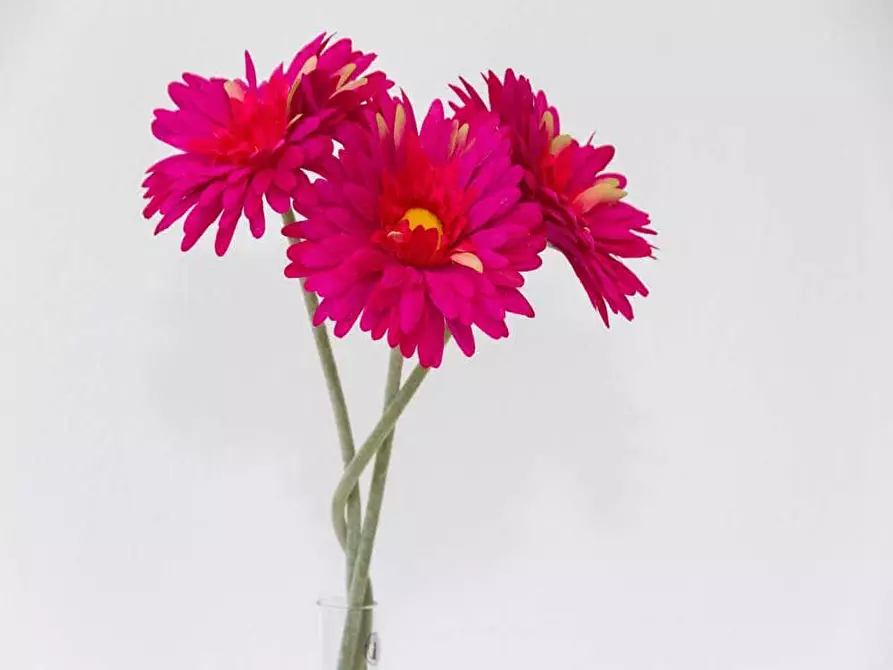 Immagine 25 di Camera in affitto  in Viale Renato Serra16 a Milano