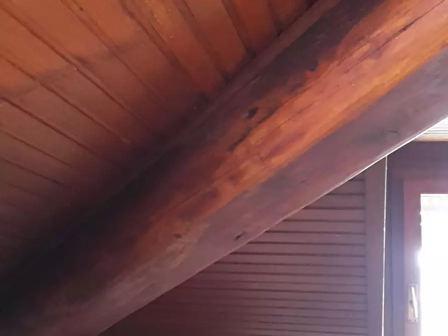 Immagine 27 di Camera in affitto  in Via Castelbarco18 a Trento